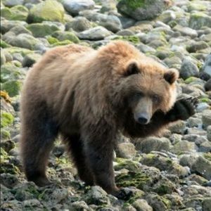 Meet your Posher, Wendy