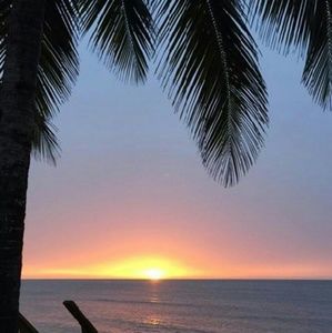 Meet your Posher, Dee