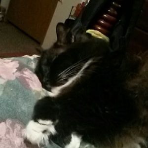 Meet your Posher, Nathaniel