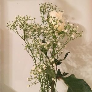 Meet your Posher, Nadia