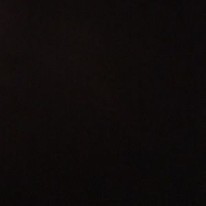 Meet your Posher, Darla