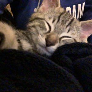 Meet your Posher, Noeun