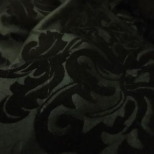 Meet your Posher, Holly