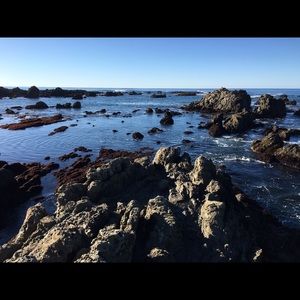 Meet your Posher, Jenny