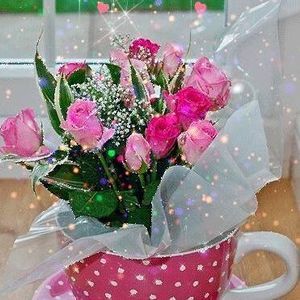 Meet your Posher, Belem