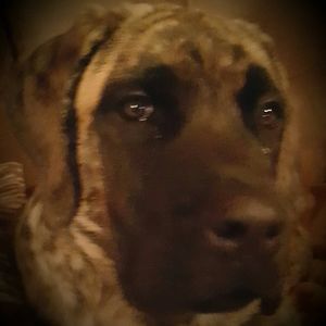 Meet your Posher, Christi