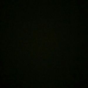 Meet your Posher, Priscilla