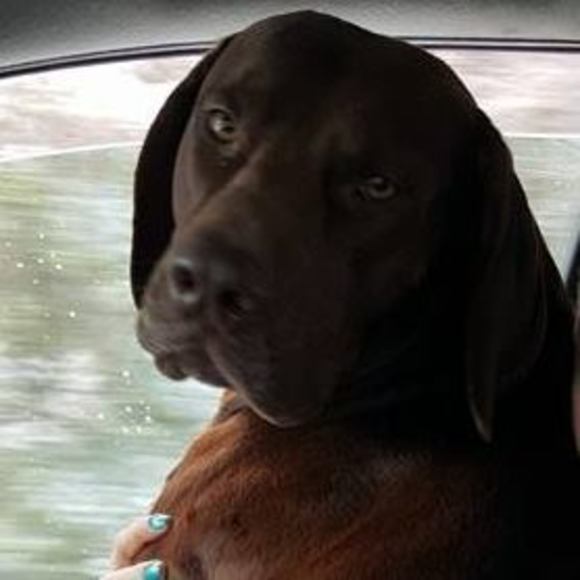 Meet your Posher, Kaitee