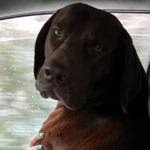 Meet your Posher, Kaitee