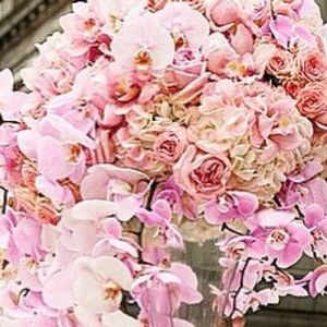 Meet your Posher, Dulce