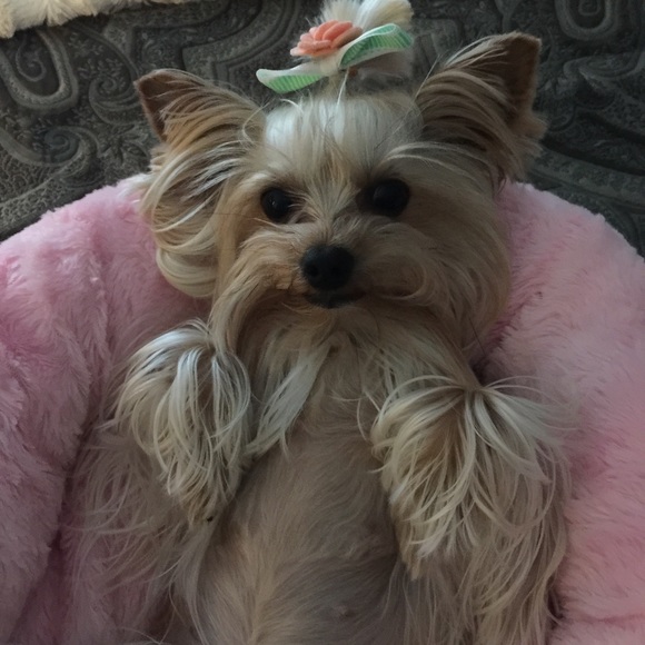 Accessories - Not for sale