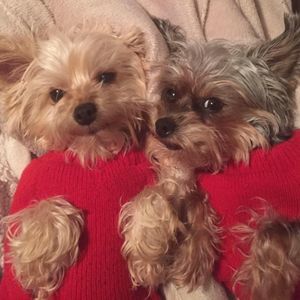 Meet your Posher, Angela