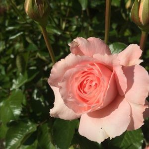 Meet your Posher, Ruben