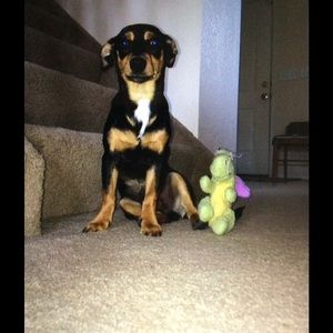 Meet your Posher, Emily