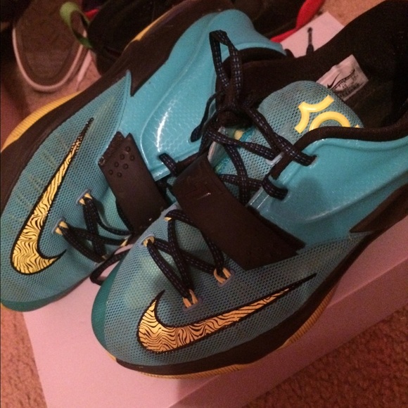 Kd 7's