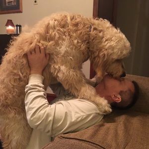 Meet your Posher, Robert