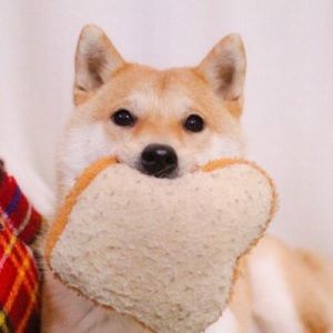 Meet your Posher, Mona