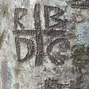 Meet your Posher, Deanna