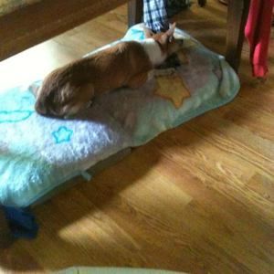 Meet your Posher, Rita