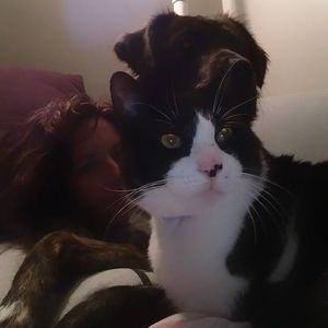 Meet your Posher, Louisa