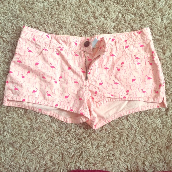Pink Flamingo Shorts
