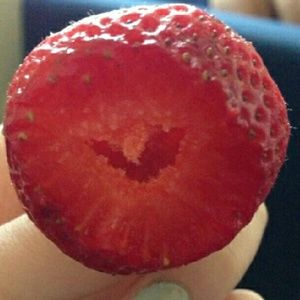 Meet your Posher, Alina