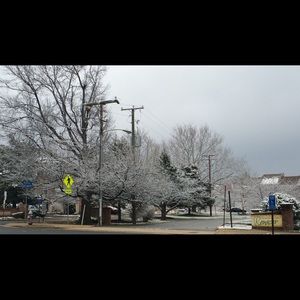 Meet your Posher, Ingrid