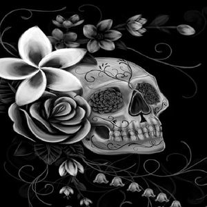 Meet your Posher, Judy