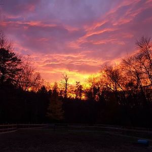 Meet your Posher, Cathy