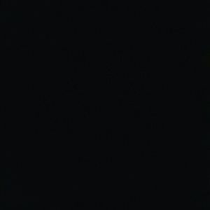 Meet your Posher, Liz