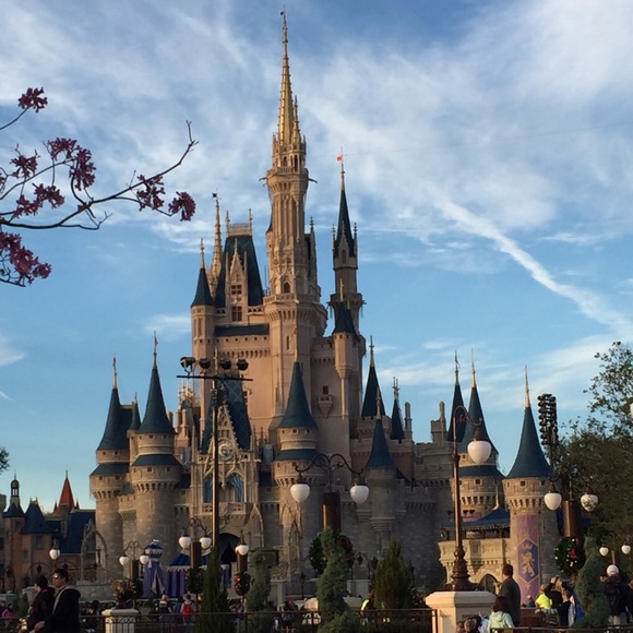 Meet your Posher, Laci