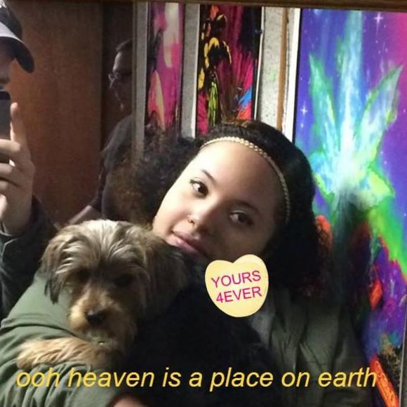 Meet your Posher, Amber - Picture 2 of 2