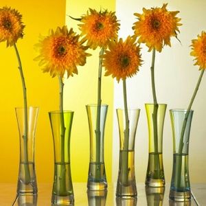 Meet your Posher, Zorah