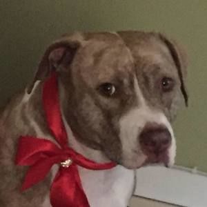 Meet your Posher, Sylvia