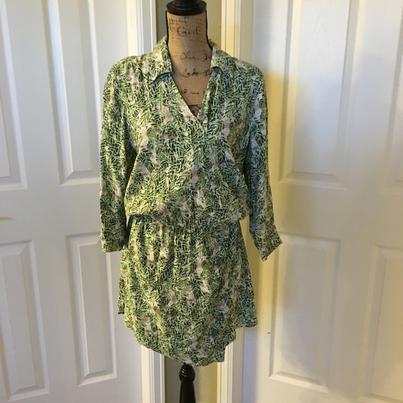 Spring 2015 CAbi Dress