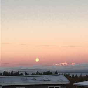 Meet your Posher, Mari