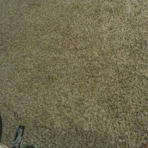 Meet your Posher, Frances