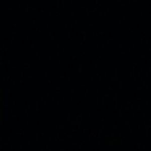 Meet your Posher, Jackson