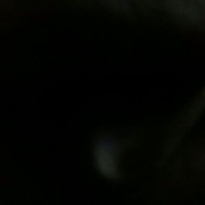 Meet your Posher, Hector