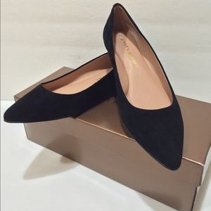 Stiletto Suede Ballet Flats