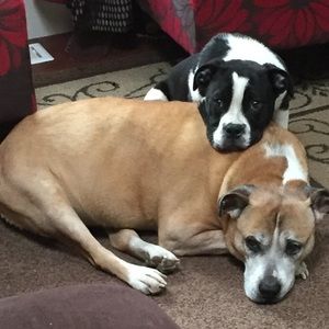 Meet your Posher, Celestina