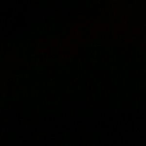 Meet your Posher, Shailynn