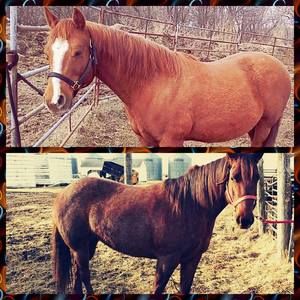 Meet your Posher, Daylyn