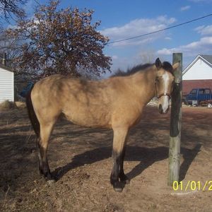 Meet your Posher, Joetta