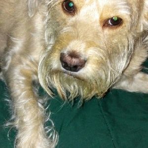 Meet your Posher, Ivette