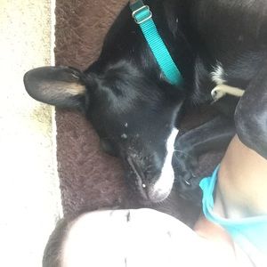 Meet your Posher, Sara