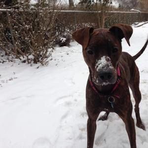 Meet your Posher, Aurora