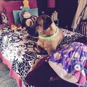 Meet your Posher, Madison