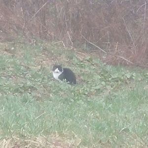 Meet your Posher, Carla