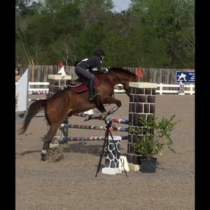 Meet your Posher, Melissa